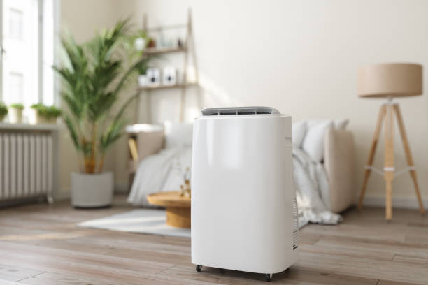 Best Ductless Mini-Split Systems in Minden, NV